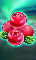 Winterberries